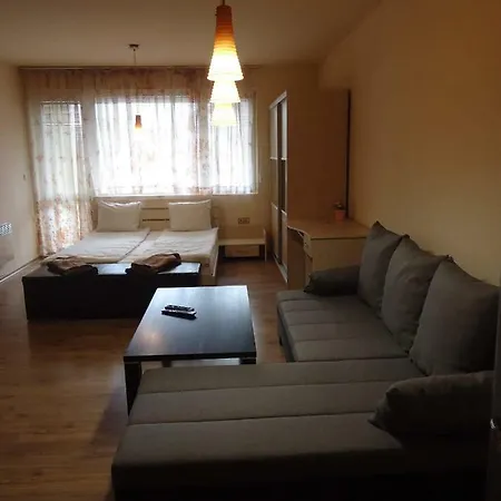 Comfort Apartment *